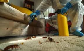 Cockroach fumigation Nairobi